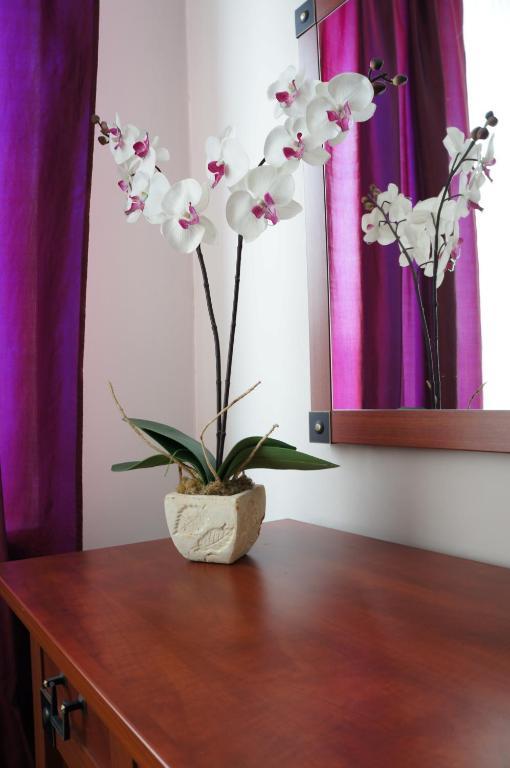Willa Akacja Gdynia Habitación foto